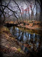 DSCF4246.webp