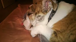WP_20130116_020.webp