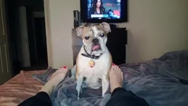 WP_20130116_021.webp