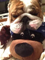 Nigel with bday gift 2012.webp
