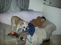 20121212_205342.webp 20121212_205342.webp