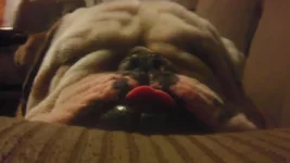 281384_4778168864870_1432706014_n.webp