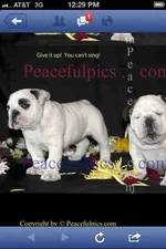 ImageUploadedByTapatalk1347599274.217972.webp