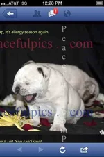 ImageUploadedByTapatalk1347599283.927472.webp