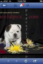 ImageUploadedByTapatalk1347599350.130564.webp