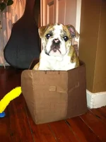 photo.webp