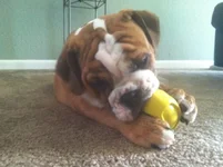 9-06-2012 028.webp