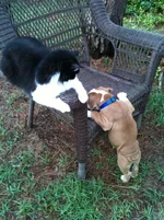 photo.webp