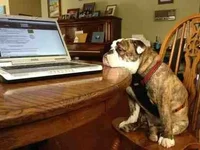 ImageUploadedByTapatalk1352762657.327026.webp
