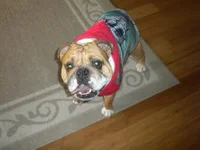DSCN4096.webp