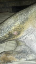 2012-11-08_21-21-21_214.jpg 2012-11-08_21-21-21_214.jpg