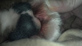 2012-11-08_22-11-58_305.jpg 2012-11-08_22-11-58_305.jpg