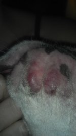 2012-11-12_19-41-58_575.jpg 2012-11-12_19-41-58_575.jpg