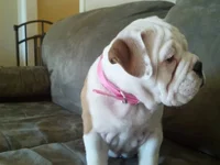 uploadfromtaptalk1356124052061.webp
