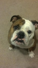 2012-11-12_21-31-52_192.jpg 2012-11-12_21-31-52_192.jpg
