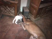 Tucson-20121109-00003.webp