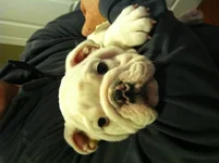 image.webp