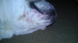 Picture 003.webp