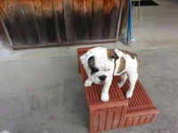 20130311_092009.webp