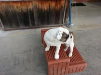 20130311_092011.webp