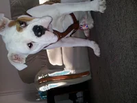 20130111_094722.webp