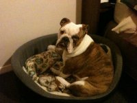 IMG_0200.jpg IMG_0200.jpg