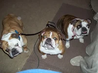 100_1209.webp