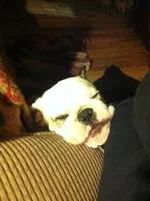 A7enw8pCMAAo_7X.webp