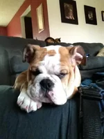 photo%203%20(12).webp