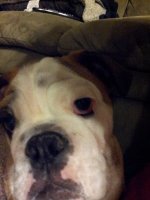 20130120_193511.jpg 20130120_193511.jpg