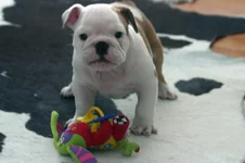 Buster3 Mar8:13.webp Buster3 Mar8:13.webp