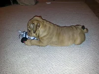 20130130_210947.webp