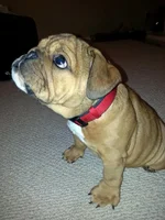 20130227_190327.webp