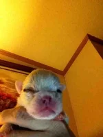 ImageUploadedByTapatalk1356231888.214599.webp