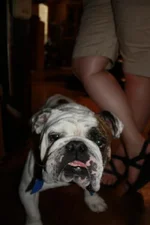 kyles.webp