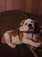 20130121_190405.jpg