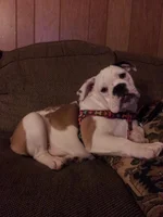 20130121_190358.webp