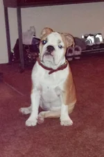 Lola first year one 016.webp Lola first year one 016.webp