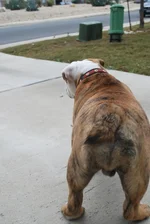 Winsty 2011 026.webp