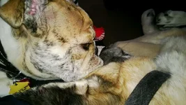 WP_20130120_007.webp