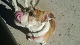 WP_20130121_014.webp