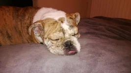 WP_20130121_025.webp