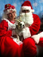 franklin-santa.webp