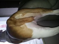 20130313_154308.webp