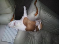 20130313_160856.jpg