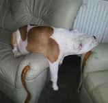 20130313_160856-1-1.webp