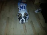 20121130_173315.webp