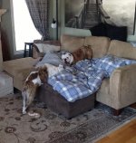 Couch Play.JPG Couch Play.JPG