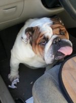 20121001_090430.jpg 20121001_090430.jpg