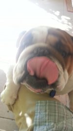 20121016_092204.jpg 20121016_092204.jpg
